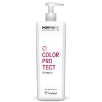 FRAMESI MORPHOSIS COLOR PROTECT SHAMPOO Шампунь для окрашенных волос 1000мл