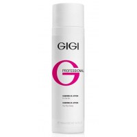 GIGI Cosmetic Labs GIGI Cosmetic GIGI Лосьон Гамамелис, 250 мл
