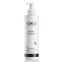 GIGI Cosmetic Labs GIGI Cosmetic GIGI, Мыло для жирной кожи, 250мл