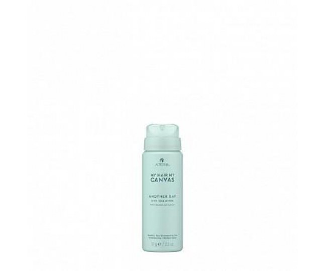 Another Day Dry shampoo Сухой шампунь Еще один день тревел 57г
