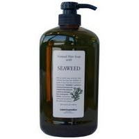 LEBEL Cosmetics SEAWEED Лечебный шампунь для поврежденных волос с морскими водорослями, 1000 мл