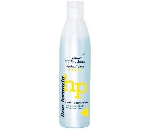 WT-Methode Color Repair Shampoo Шампунь для окрашенных и обесцвеченных волос 1000мл
